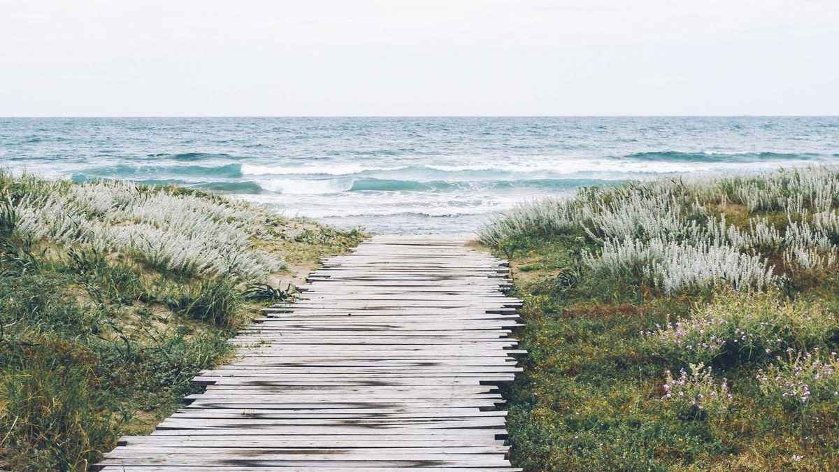 Amazon KDP Royalty-Aenderungen 2025 – Selfpublishing Akademie