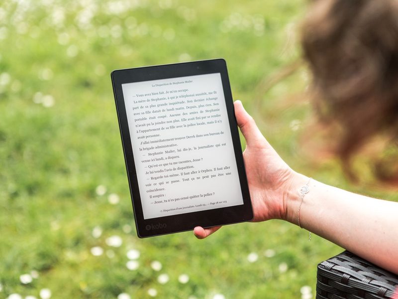 Hand h&auml;lt einen E-Reader mit aufgeschlagenem Text vor gr&uuml;ner Wiese