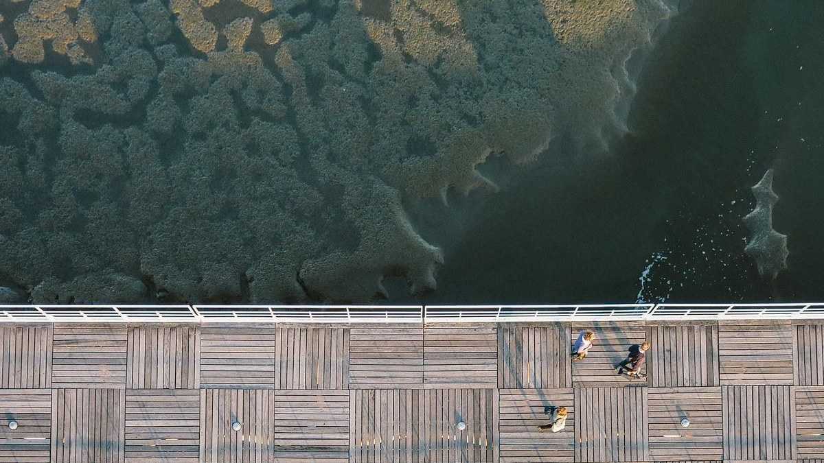 Kobo Plus Deutschland 2025 – Selfpublishing Akademie