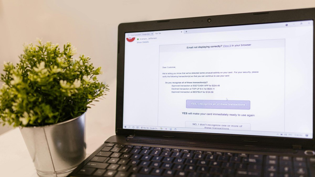 Newsletter-Boom bei Autoren – Selfpublishing Akademie