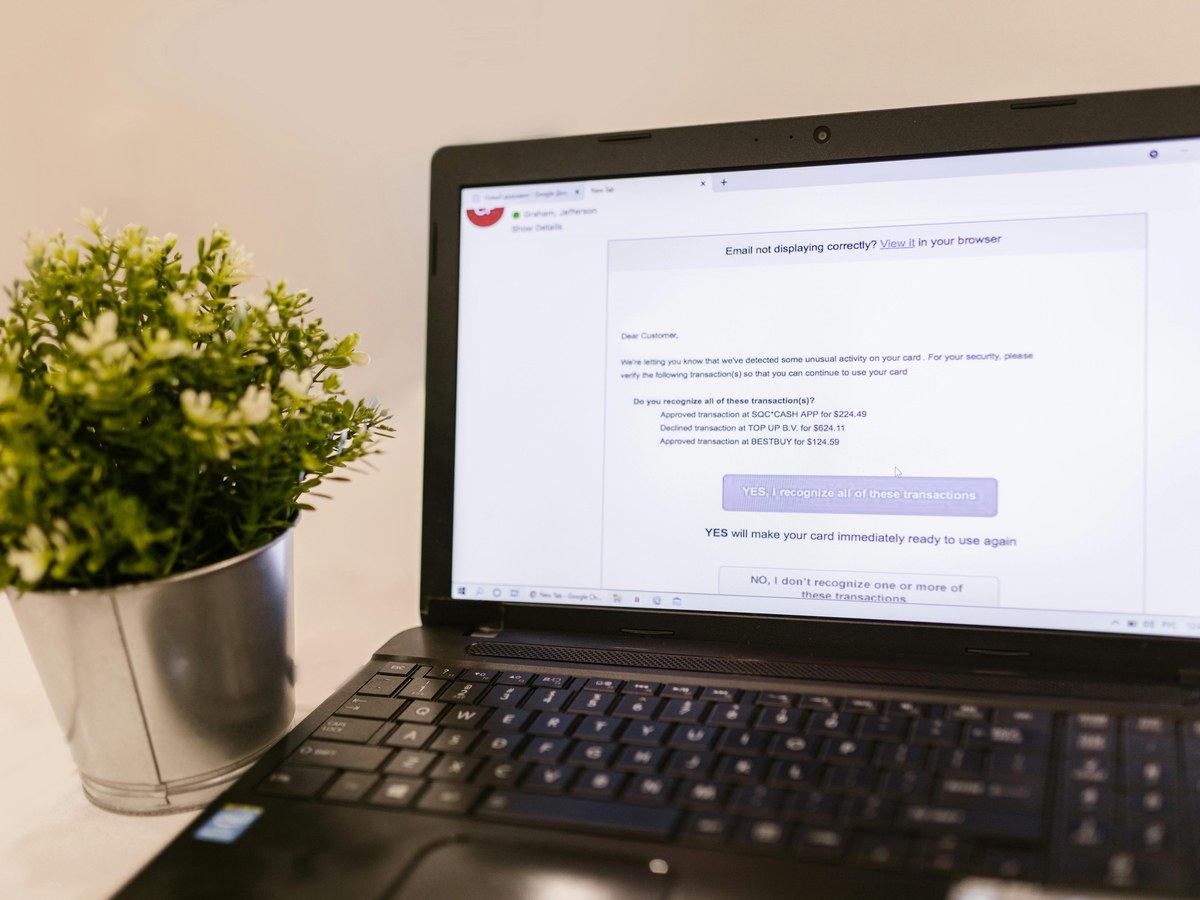 Newsletter-Boom bei Autoren – Selfpublishing Akademie