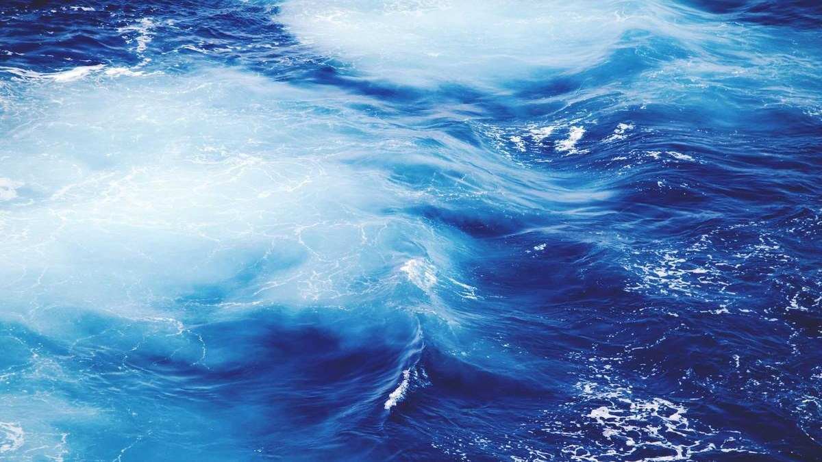 Selfpublishing-Buchpreis 2026 Gewinner – Selfpublishing Akademie